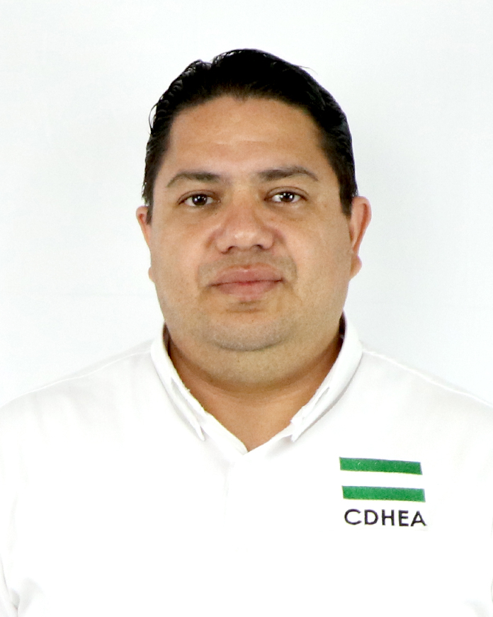 Encargado de Sistemas